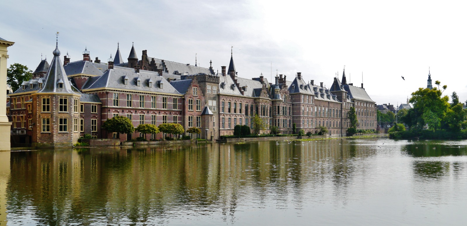 The Hague hero