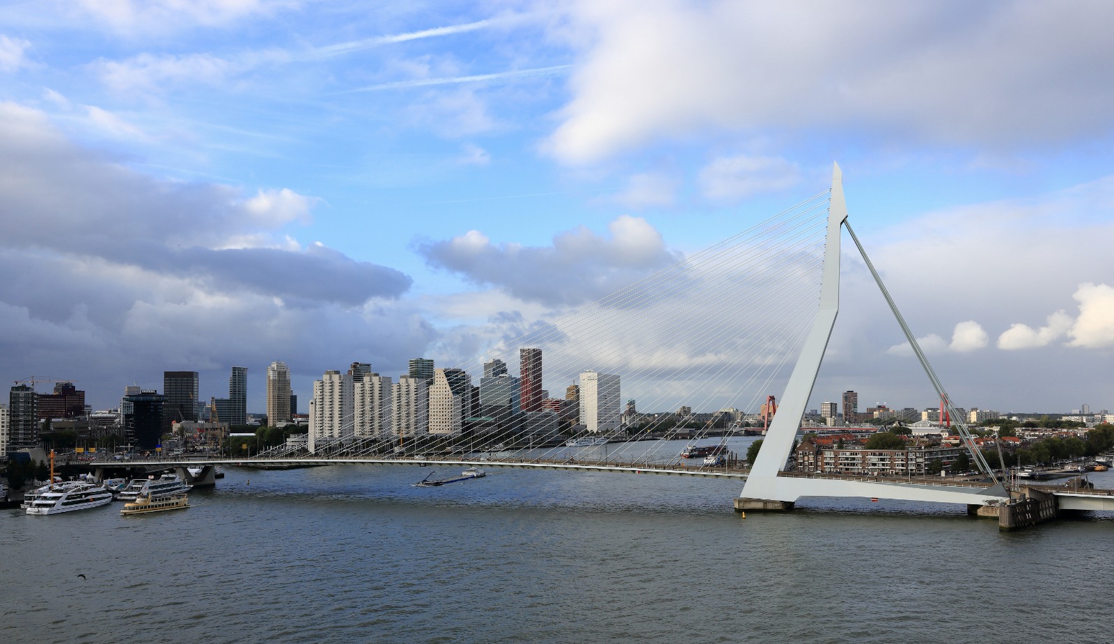 Rotterdam hero